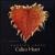 Calico Heart von Houston Jones