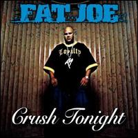 Crush Tonight von Fat Joe