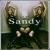 Crash von Sandy