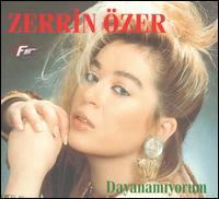 Dayanamiyorum von Zerrin Özer
