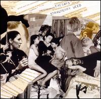 Strawberry Weed von Caesars