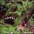Ghibli Set von Daishi Dance
