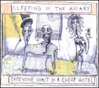 Expensive Vomit in a Cheap Hotel von Sleeping in the Aviary