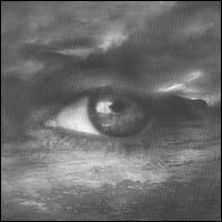 Mighty Rain von Lindsey Horner