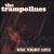 One Night Only von The Trampolines