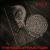 Main Attraction von A Race of Angels