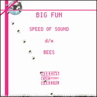 Speed of Sound/Bees von Big Fun