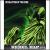 Rebel Rap von Revolution of the Mind