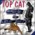 Catonine Tales von Top Cat