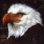 Hawk Is Howling von Mogwai