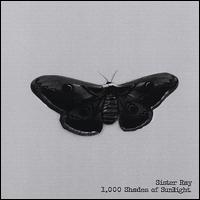 1,000 Shades of Sunlight von Sister Ray
