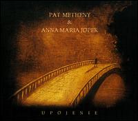 Upojenie von Pat Metheny