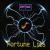Fortune Lies von Jon Baz