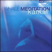 Whale Meditation von Kamal