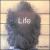 Life von Greg Wells