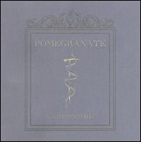 Pomegranate von Astronautalis