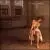 Boys in the Trees von Carly Simon