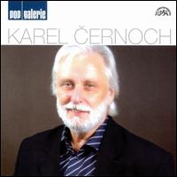Pop Galerie von Karel Cernoch