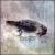 We Are the Architects von Mikoto