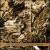 True Story Concerning Martin Behaim von Zakarya