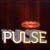 Pulse von Dan Cavanagh