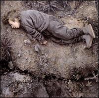 Canopy Glow von Anathallo