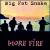 More Fire von Big Fat Snake