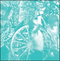 Weird Era Cont. von Deerhunter