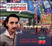 Perceptions of Pacha von Richard Grey