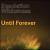 Until Forever von Desolation Wilderness