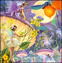 Greeting Card: Faerie Music von Llewellyn
