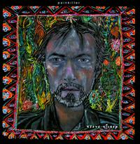 Painkiller von Steve Kilbey