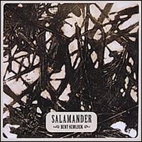 Bent Hemlock von Salamander