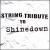 Shinedown String Tribute von String Tribute Players