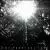 Greed von The Prodigal Sons