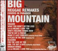 Reggae Remakes: Covers in Paradise von Big Mountain