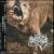 Pitbull Ways von Boxcutter
