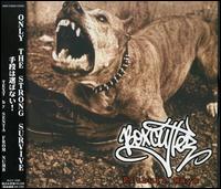 Pitbull Ways von Boxcutter