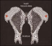 Nightjar von Marty Willson-Piper