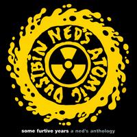 Some Furtive Years: A Ned's Anthology von Ned's Atomic Dustbin