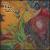 Gypsy Rhymes & Runes von Ron Nolen