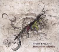 Out of the Wilderness von Robert Bradley