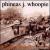 Down the Rails von Phineas J Whoopie