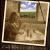 Ten Acres von Cady Wire