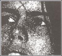 Summer of Hate von Crocodiles