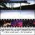 Alive and Well... In Krakow [DVD/CD] von Green Carnation