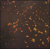 Enjoy the Silence von Various Artists