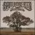 We Were Born In a Flame von Sam Roberts