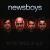 In the Hands of God von Newsboys