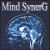 Mind Synerg von Gina Lorenzo